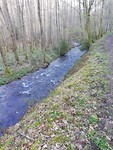 IMG_20190412_084131