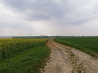 IMG_20190414_124959