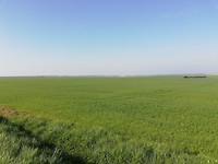 IMG_20190415_093710