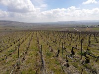 IMG_20190417_140829