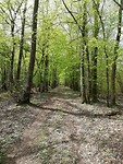 IMG_20190417_130059