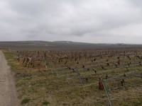 IMG_20190417_102827