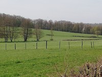 IMG_20190418_120851