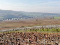 IMG_20190418_085253
