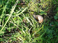 IMG_20190419_100221