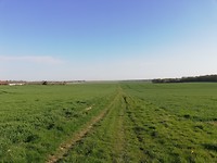 IMG_20190419_091317