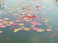 IMG_20190418_195722