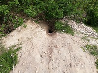 IMG_20190421_103056