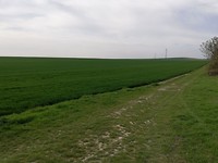IMG_20190421_101054