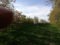 IMG_20190421_085439
