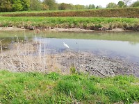 IMG_20190422_120511