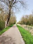 IMG_20190422_114253