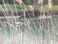 IMG_20190422_105408