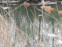 IMG_20190422_105229