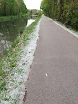 IMG_20190423_105637