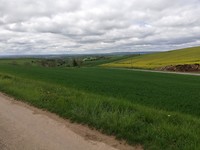 IMG_20190429_125704
