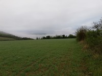 IMG_20190429_073811