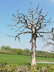 IMG_20190430_131010
