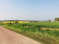 IMG_20190430_092932