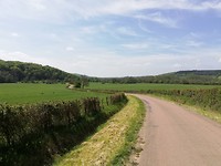 IMG_20190501_124514