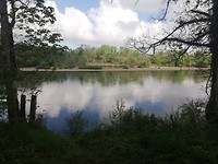 IMG_20190503_104458