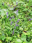 IMG_20190504_092739