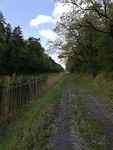 IMG_20190505_111125