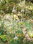 IMG_20190506_142425