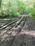 IMG_20190506_101126