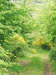 IMG_20190509_142005