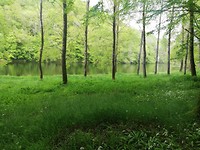 IMG_20190509_121626