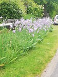 IMG_20190509_111321