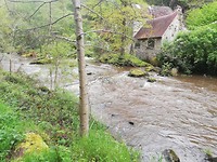 IMG_20190510_074923