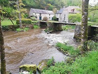 IMG_20190510_074913