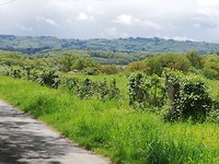 IMG_20190511_143009