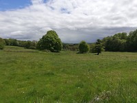IMG_20190511_142523
