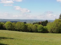 IMG_20190512_103229