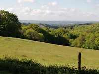 IMG_20190512_100741