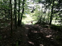 IMG_20190512_100211