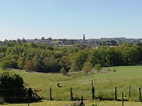 IMG_20190513_104045