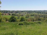IMG_20190515_120432