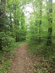 IMG_20190516_143338