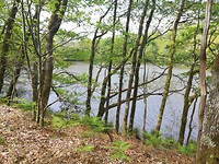 IMG_20190516_113036