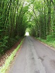 IMG_20190519_112505