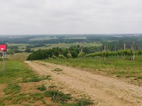 IMG_20190521_133039