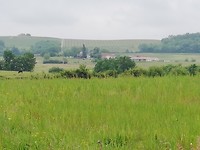 IMG_20190521_130949