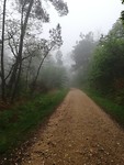 IMG_20190521_080152