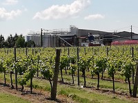IMG_20190522_121234