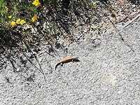 IMG_20190522_114642