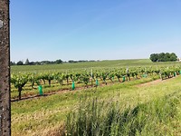 IMG_20190522_095739